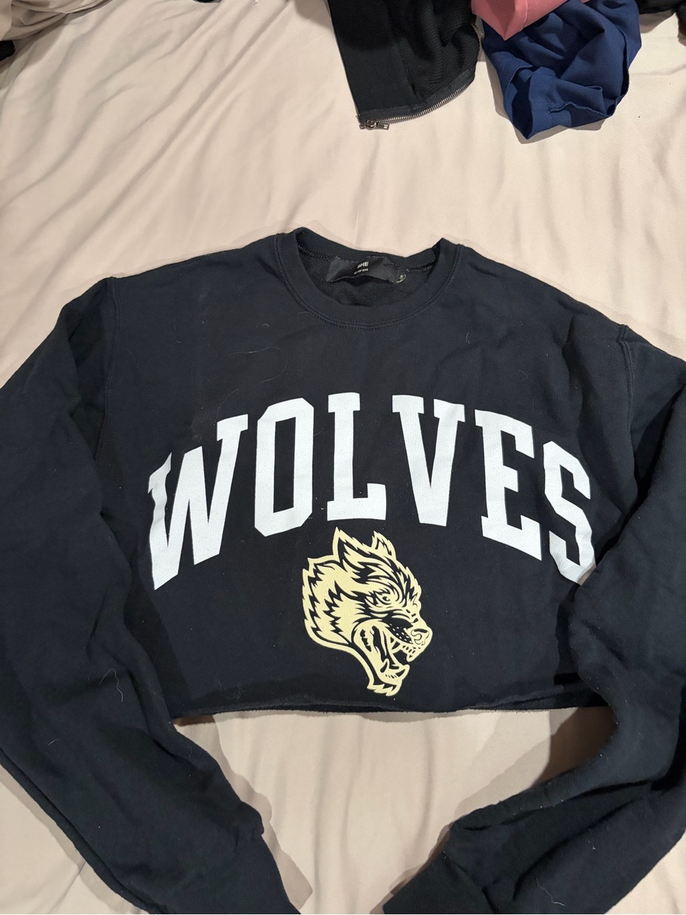 Darc Sport Crop Sweatshirt l